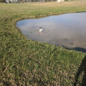 Meet your Posher, William